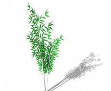 草图大师模型SU植物模型竹子
