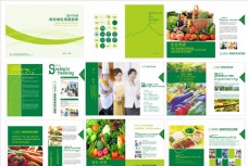 健康饮食果蔬画册