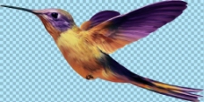 爱上彩色飞翔小鸟图片免抠png透明图层素材