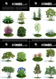 树木灌木模型