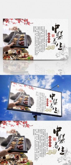 中华文化中华传统中医养生文化宣传海报