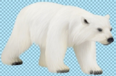 在走路的北极熊免抠png透明图层素材