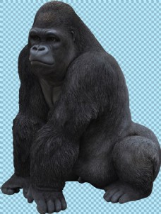 坐着的黑猩猩免抠png透明图层素材
