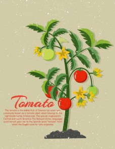 番茄树图标广告免费矢量