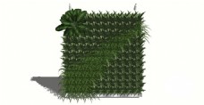 SKP创意绿化植物墙景观墙skp模型