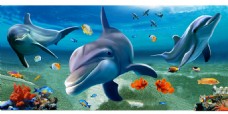 海豚世界海底世界三只海豚