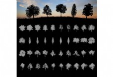 20种大树树木剪影图案PS笔刷素材