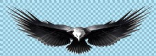 爱上展翅飞翔的老鹰图片免抠png透明图层素材