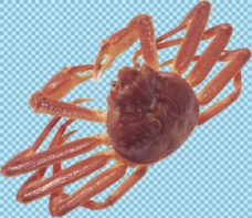 爱上长脚螃蟹图片免抠png透明图层素材