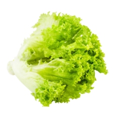 绿色蔬菜绿色生菜元素