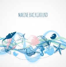 贝壳海洋水彩绘海洋贝壳插画
