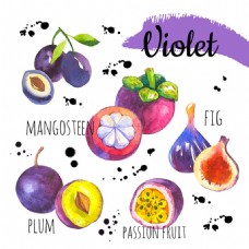 紫色水果效果图