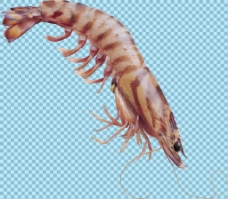 透明素材褐色斑纹的小虾免抠png透明图层素材