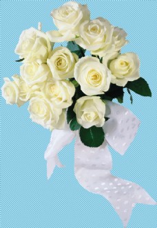 婚礼素材白玫瑰免抠png透明图层素材