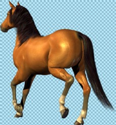 爱上棕色奔跑的马免抠png透明图层素材