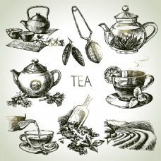 茶杯手绘茶道元素插画