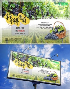 秋季促销秋季新品葡萄水果促销海报葡萄园采摘