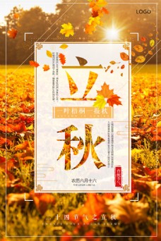 清新唯美红叶景色立秋节气促销海报