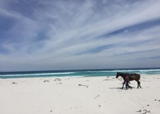 南非开普敦海滩唯美