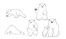 北极熊卡通手绘