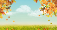 叶子和绿叶蓝天白云下的绿草地和彩色叶子