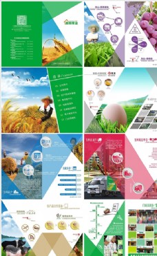 农业公司企业画册