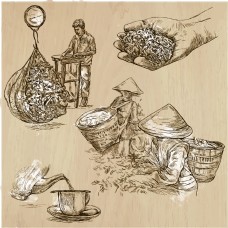 茶杯手绘采茶炒茶工艺图