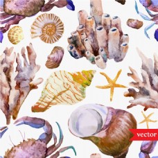 海螺水彩夏日海洋动物元素
