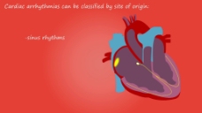 人物心脏器官视频拍摄