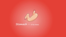肠胃动画视频素材