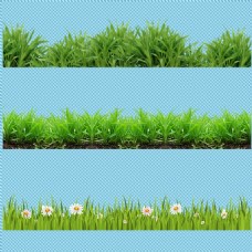 春季背景绿色草草丛免抠png透明图层素材