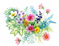 花束植物花朵水彩手绘矢量文件