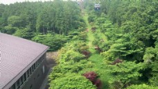 森林城堡风景视频