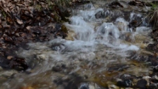 河流溪水视频素材