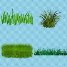 春季背景鲜嫩绿草免抠png透明图层素材