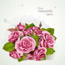 浪漫唯美的玫瑰花插画
