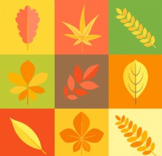 9款彩色秋季叶子矢量
