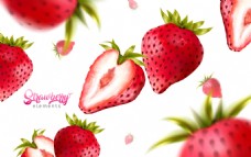 诱人手绘红色草莓插画