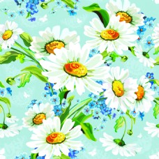 手绘白色菊花背景