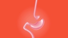 肠胃器官视频素材