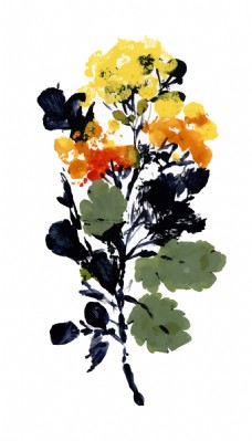 彩绘物件黄色植物花朵水彩手绘矢量文件