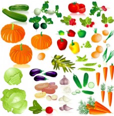 蔬菜食材矢量素材
