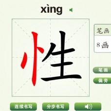中国汉字性字笔画教学动画视频
