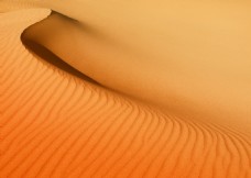 木柴沙漠