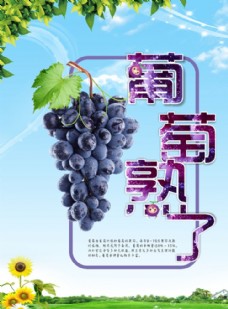 葡萄熟了广告11
