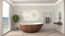 圆圈观景浴室效果图图片