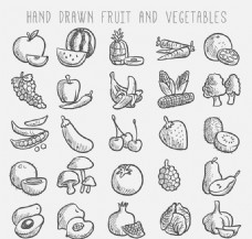 水果蔬菜25款手绘水果和蔬菜矢量