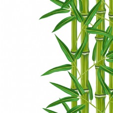 绿色叶子绿色青翠的竹子插画