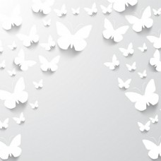 白色蝴蝶背景
