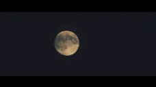 月黑风高夜晚偶尔乌云遮罩月亮映射树木烘托氛围高清视频实拍